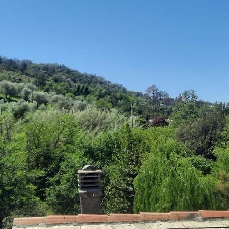 Vecchio Mulino Fontona Ortensia Chiesanuova  Luaran gambar