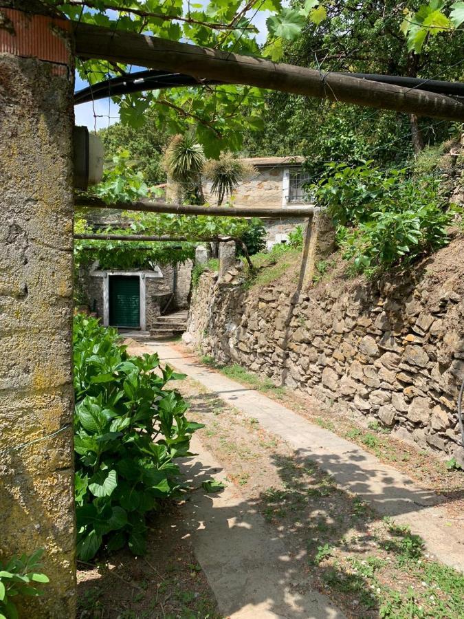 Vecchio Mulino Fontona Ortensia Chiesanuova  Luaran gambar