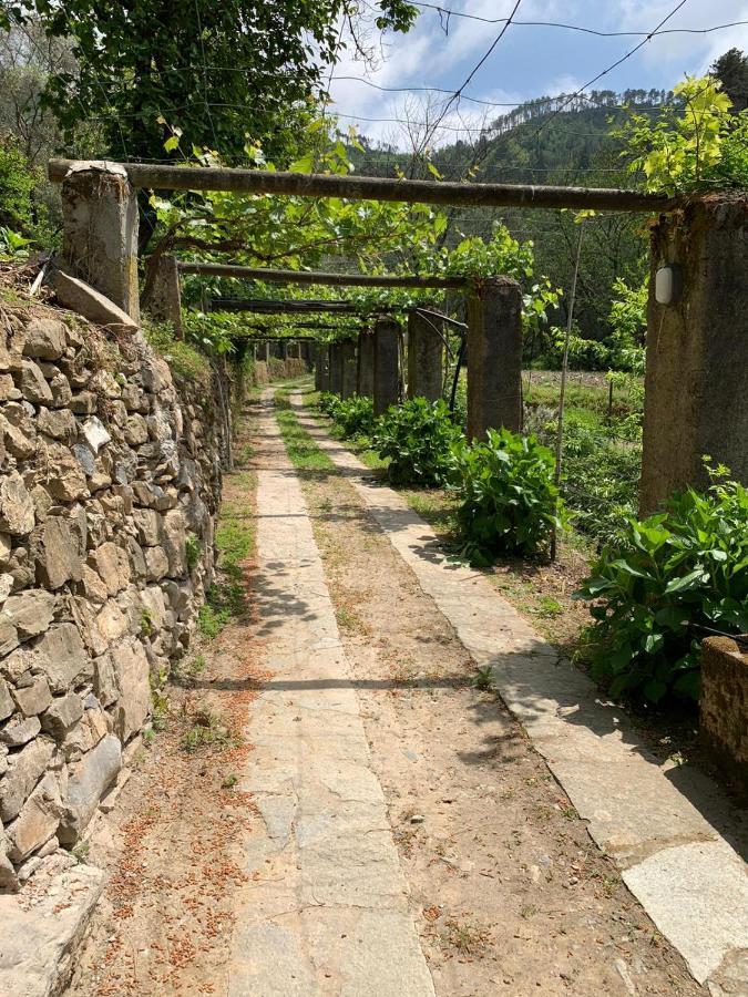 Vecchio Mulino Fontona Ortensia Chiesanuova  Luaran gambar