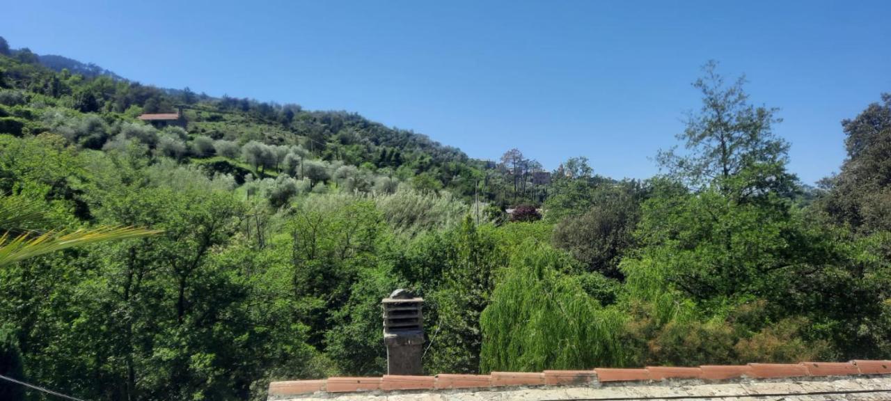 Vecchio Mulino Fontona Ortensia Chiesanuova  Luaran gambar
