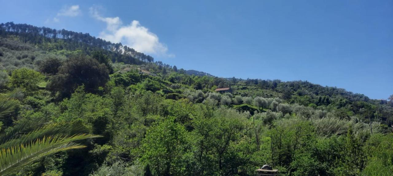 Vecchio Mulino Fontona Ortensia Chiesanuova  Luaran gambar