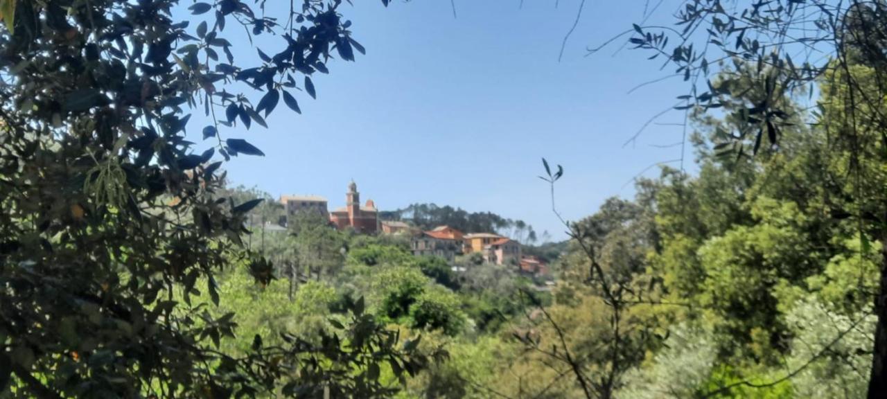 Vecchio Mulino Fontona Ortensia Chiesanuova  Luaran gambar