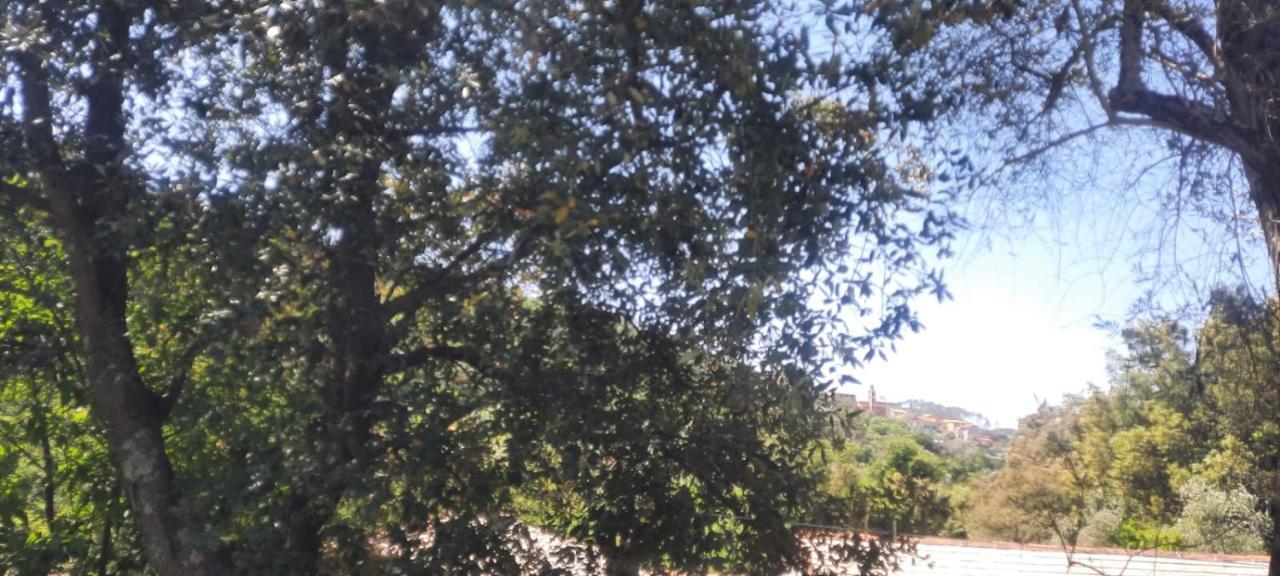 Vecchio Mulino Fontona Ortensia Chiesanuova  Luaran gambar
