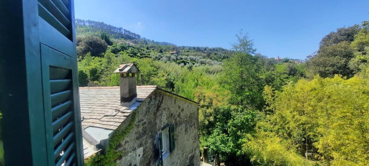 Vecchio Mulino Fontona Ortensia Chiesanuova  Luaran gambar