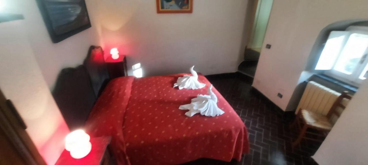 Vecchio Mulino Fontona Ortensia Chiesanuova  Luaran gambar
